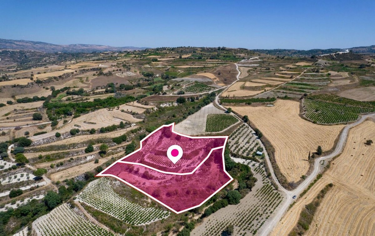 Stroumbi, Paphos Agricultural Field For Sale | WW28816