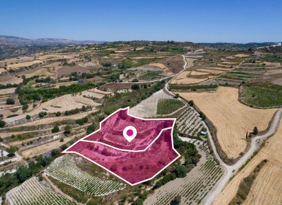 Stroumbi, Paphos Agricultural Field For Sale | WW28816