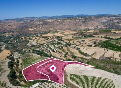 Stroumbi, Paphos Agricultural Field For Sale | WW28816