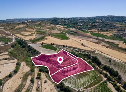 Stroumbi, Paphos Agricultural Field For Sale | WW28816