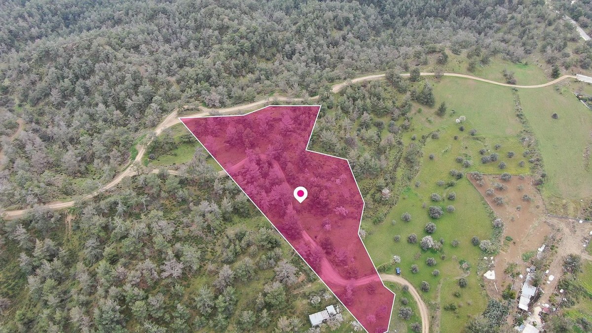 Residential field in Kapedes, Nicosia