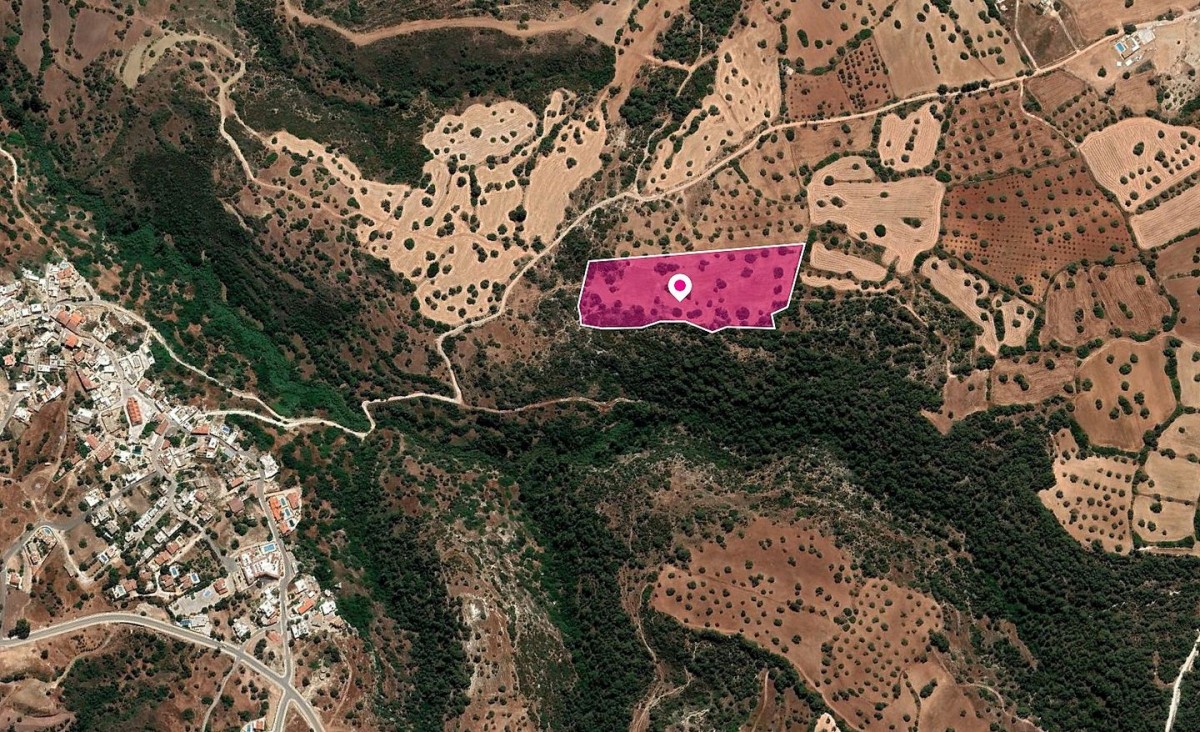 Neo Chorio, Paphos Agricultural Field For Sale | WW28820