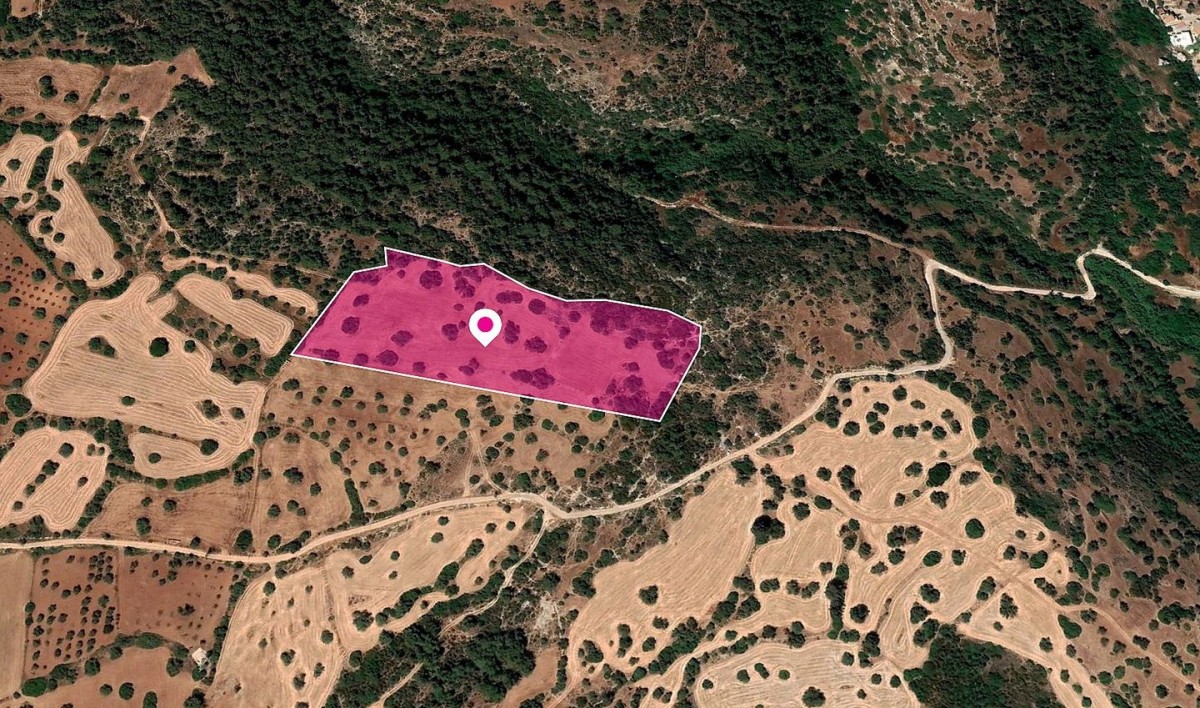 Field, Neo Chorio Paphos