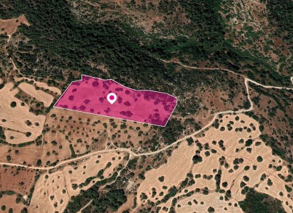 Neo Chorio, Paphos Agricultural Field For Sale | WW28820