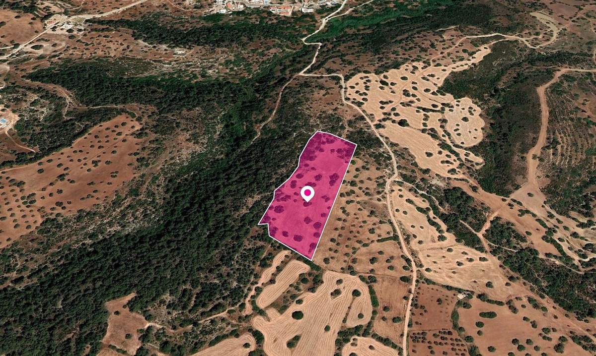 Field, Neo Chorio Paphos