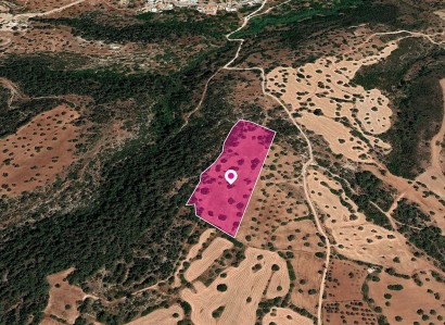 Neo Chorio, Paphos Agricultural Field For Sale | WW28820