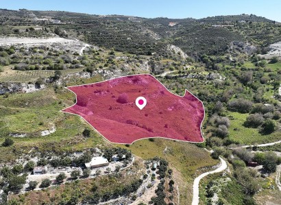 Mesa Chorio, Paphos Agricultural Field For Sale | WW28831