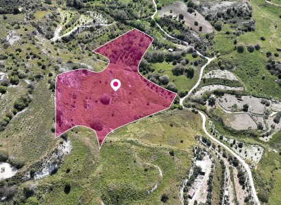 Mesa Chorio, Paphos Agricultural Field For Sale | WW28831