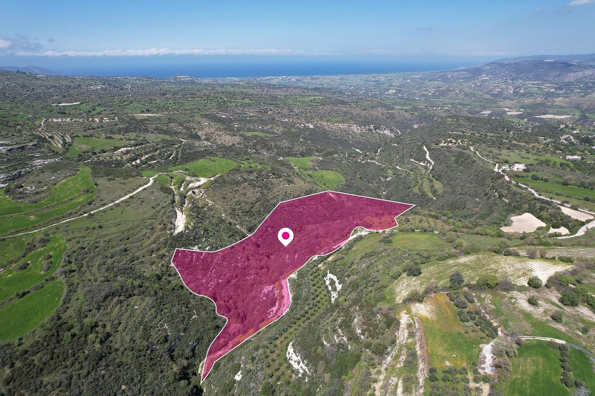 Agricultural field in Pano Akourdaleia, Paphos