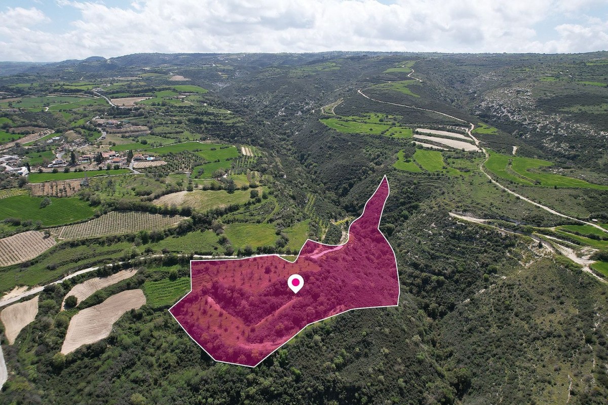 Agricultural field in Pano Akourdaleia, Paphos