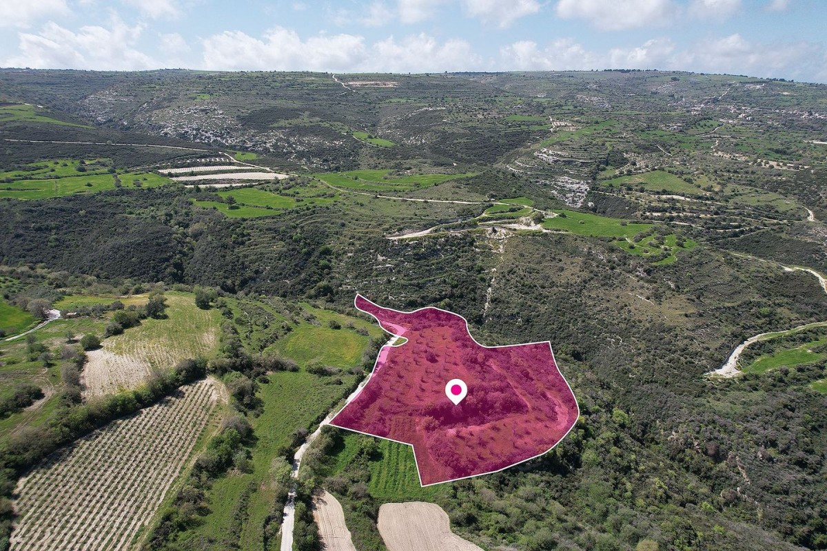 Agricultural field in Pano Akourdaleia, Paphos
