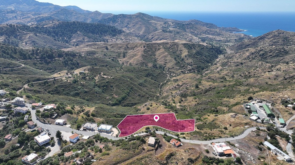 Field in Pigenia, Nicosia