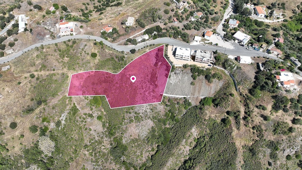 Field in Pigenia, Nicosia