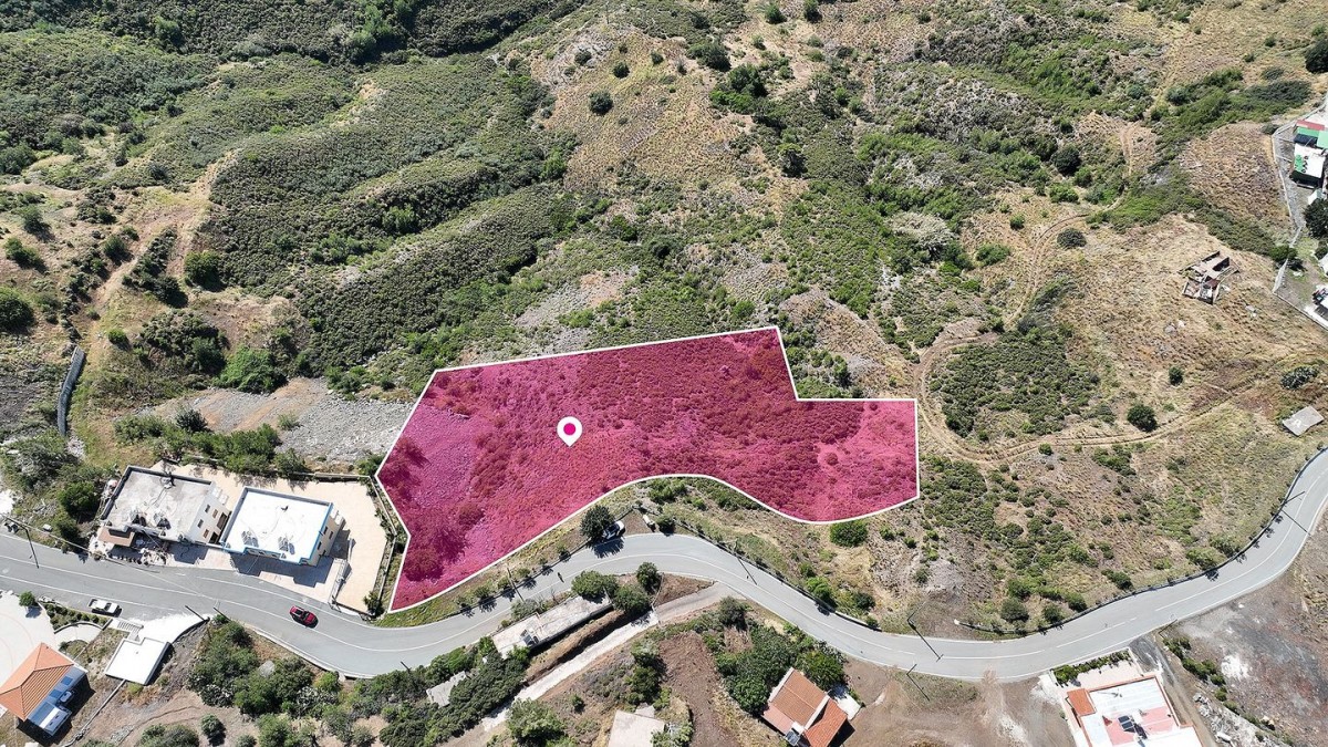 Field in Pigenia, Nicosia