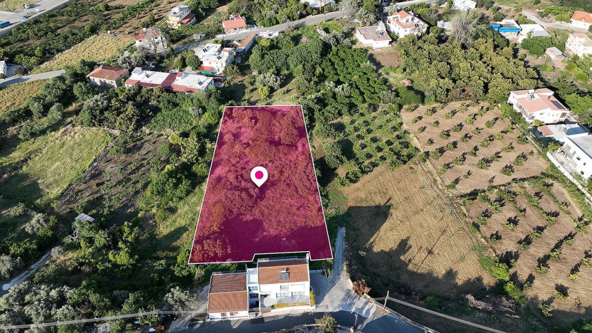 Field in Kato Pyrgos, Nicosia