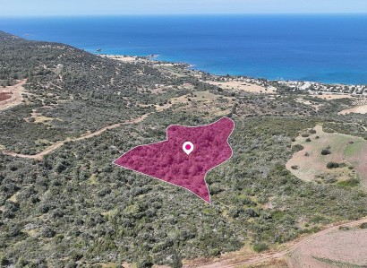 Neo Chorio, Paphos Agricultural Field For Sale | WW28835