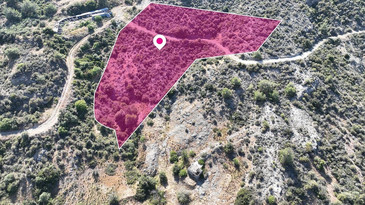 Field in Kato Pyrgos, Nicosia