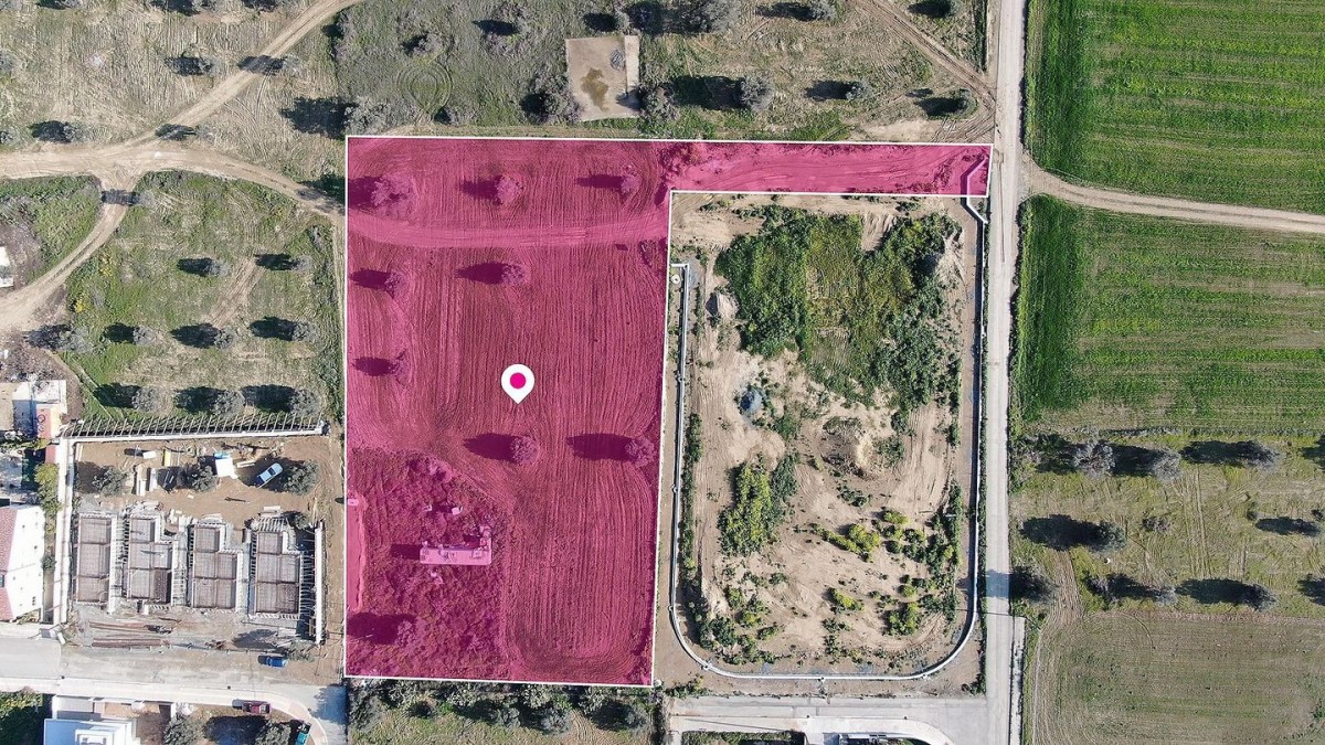 Share of Field in Tseri, Nicosia
