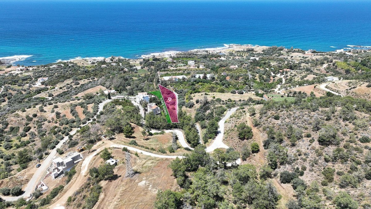 Residential Field in Nea Dimmata, Paphos