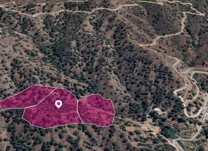 Kakopetria, Nicosia Agricultural Field For Sale | WW28857