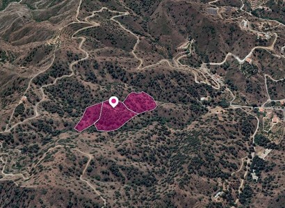Kakopetria, Nicosia Agricultural Field For Sale | WW28857