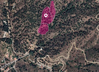 Kakopetria, Nicosia Agricultural Field For Sale | WW28857