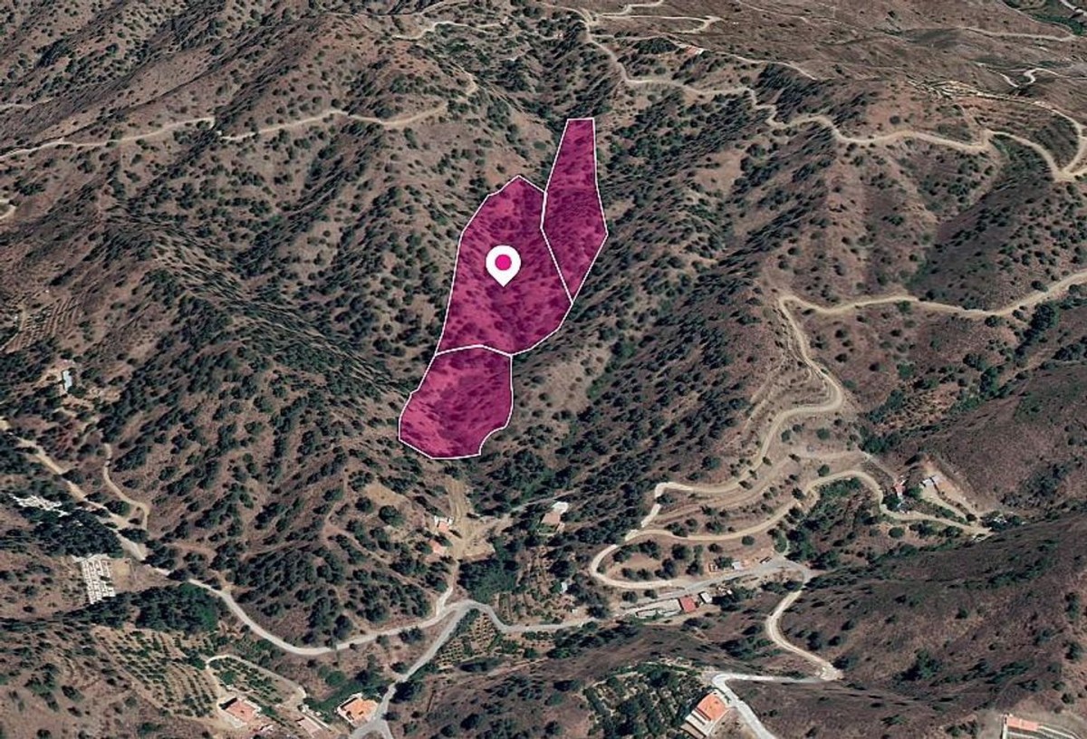 Three adjacent agricultural Fields in Kakopetria, Nicosia