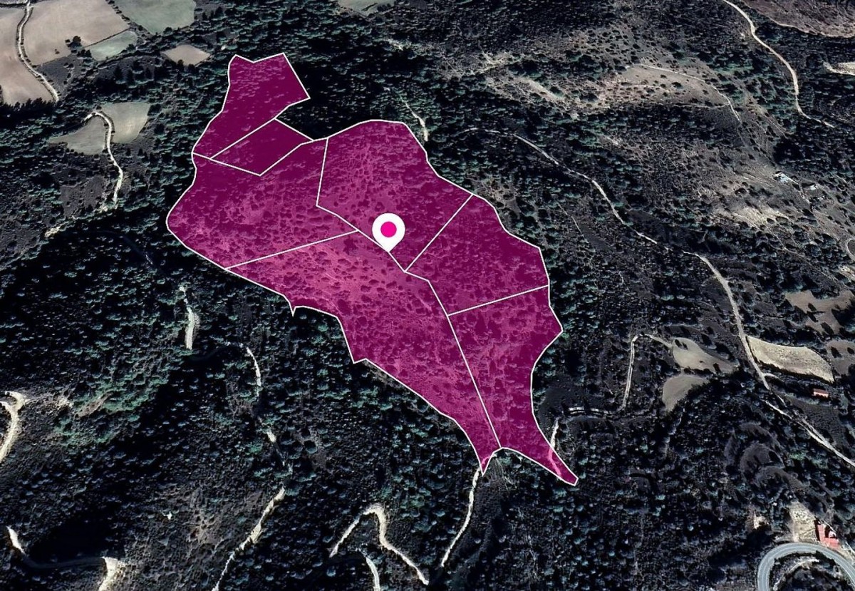 Mousere, Paphos Agricultural Field For Sale | WW28859