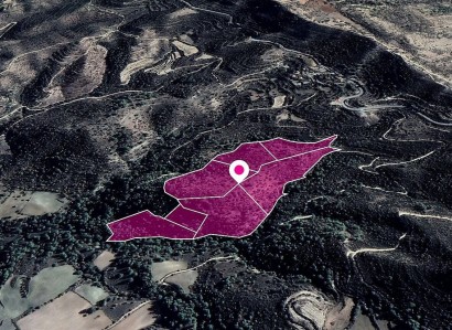 Mousere, Paphos Agricultural Field For Sale | WW28859