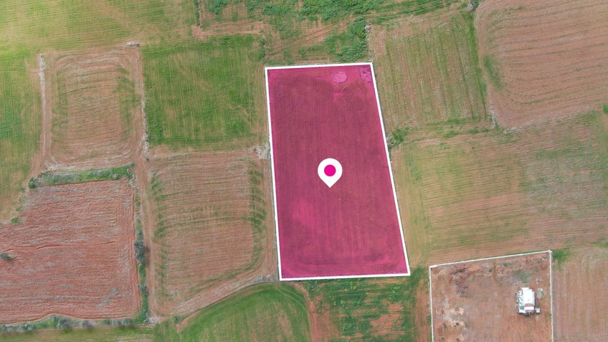 Industrial Field in Palaiometocho, Nicosia