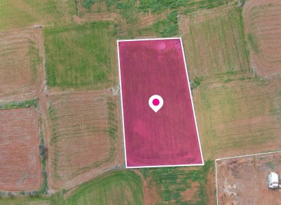 Palaiometocho, Nicosia Industrial Field For Sale | WW28866