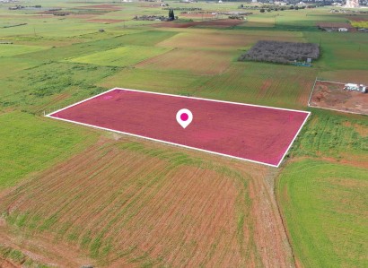 Palaiometocho, Nicosia Industrial Field For Sale | WW28866