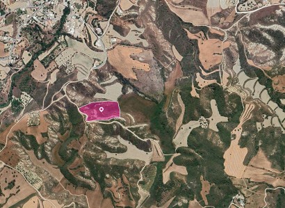Steni, Paphos Agricultural Field For Sale | WW28867