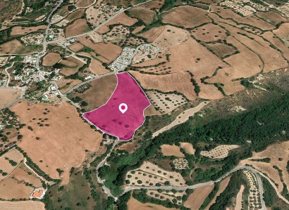 Kato Akourdaleia Agricultural Field For Sale | WW28869