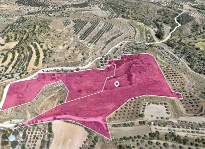 Pera Orinis, Nicosia Agricultural Field For Sale | WW28873