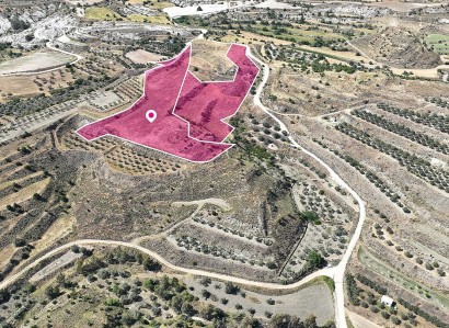 Pera Orinis, Nicosia Agricultural Field For Sale | WW28873