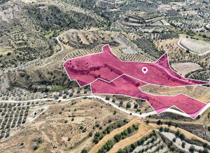 Pera Orinis, Nicosia Agricultural Field For Sale | WW28873
