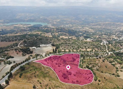 Meladeia, Paphos Agricultural Field For Sale | WW28879