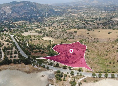Meladeia, Paphos Agricultural Field For Sale | WW28879