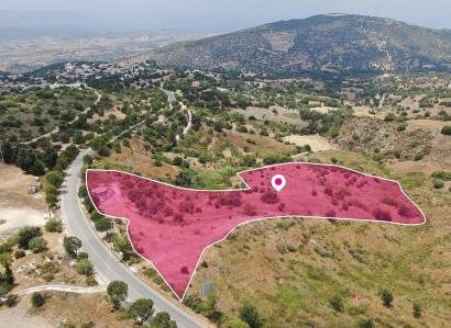 Meladeia, Paphos Agricultural Field For Sale | WW28879