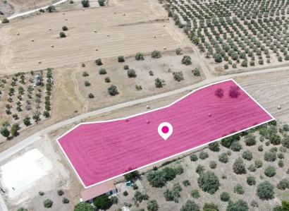 Analiontas, Nicosia Residential Plot For Sale | WW28886