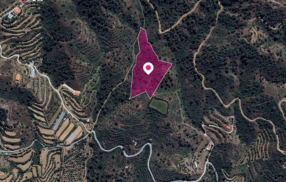 Gourri, Nicosia Agricultural Field For Sale | WW28887