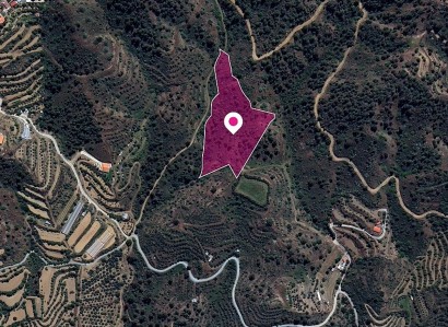 Gourri, Nicosia Agricultural Field For Sale | WW28887