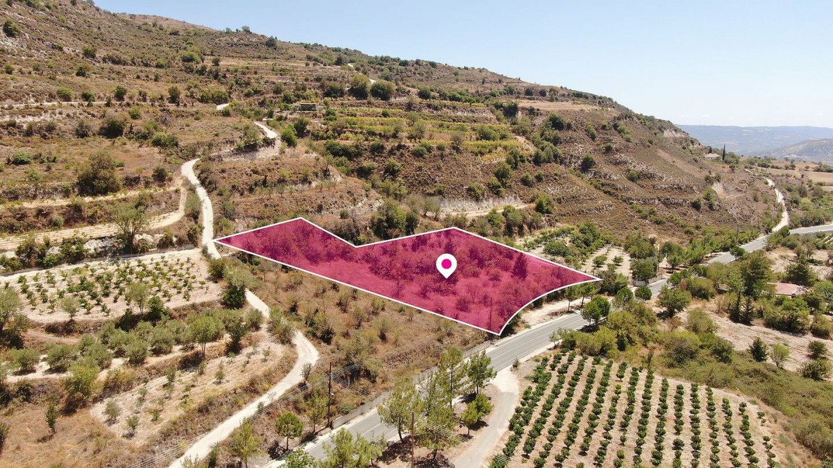 Residential Field in Praitori, Paphos