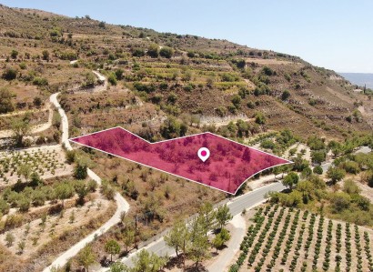 Praitori, Paphos Residential Plot For Sale | WW28892