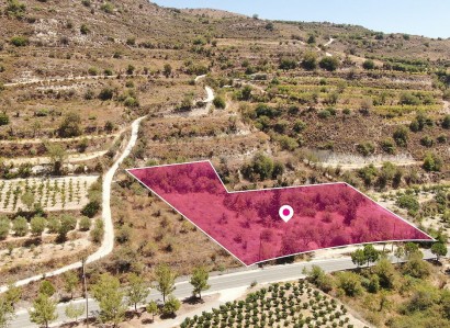 Praitori, Paphos Residential Plot For Sale | WW28892