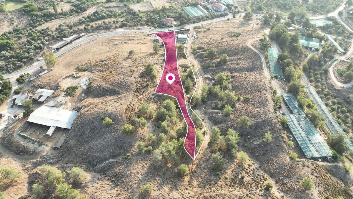 Residential Field in Evrychou, Nicosia