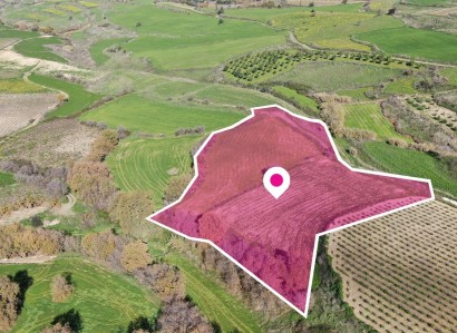 Stroumbi, Paphos Agricultural Field For Sale | WW28898