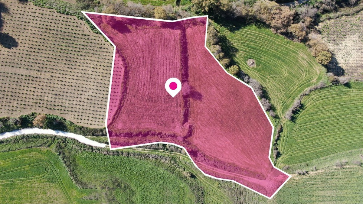 Agricultural Field, Stroumbi, Paphos