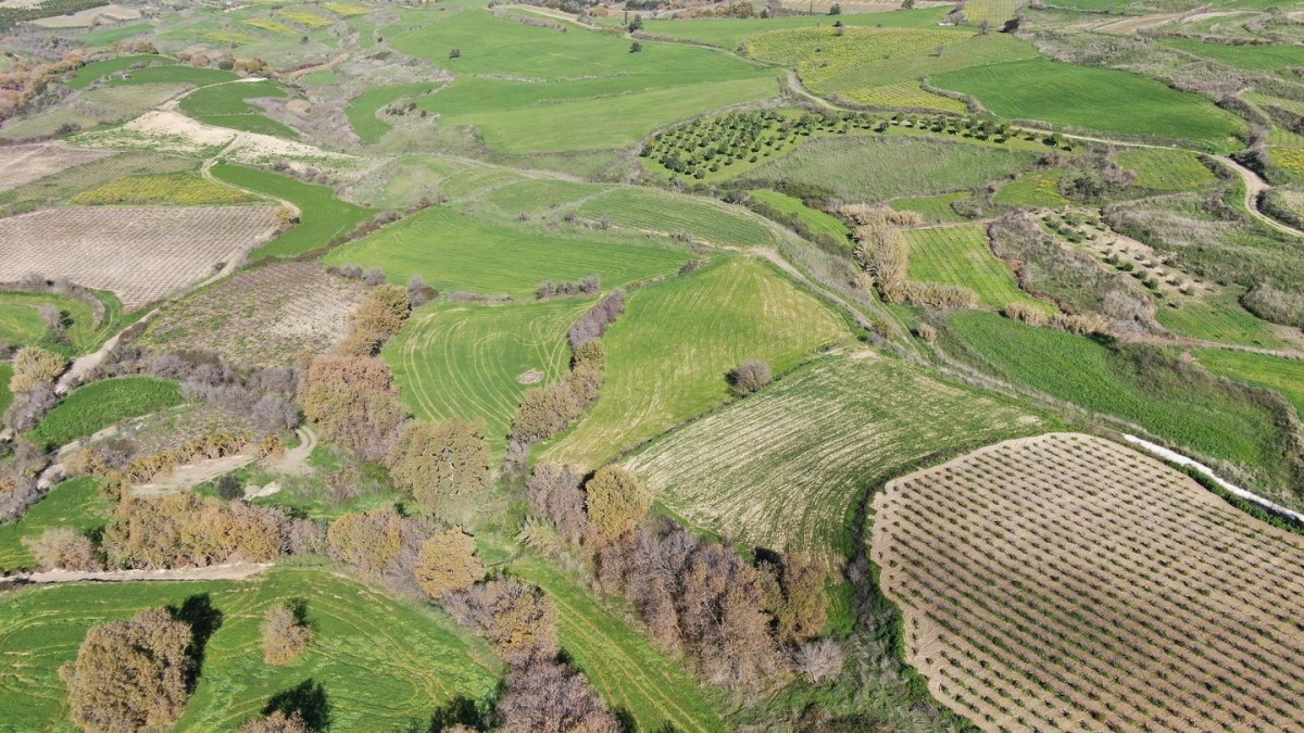 Agricultural Field, Stroumbi, Paphos